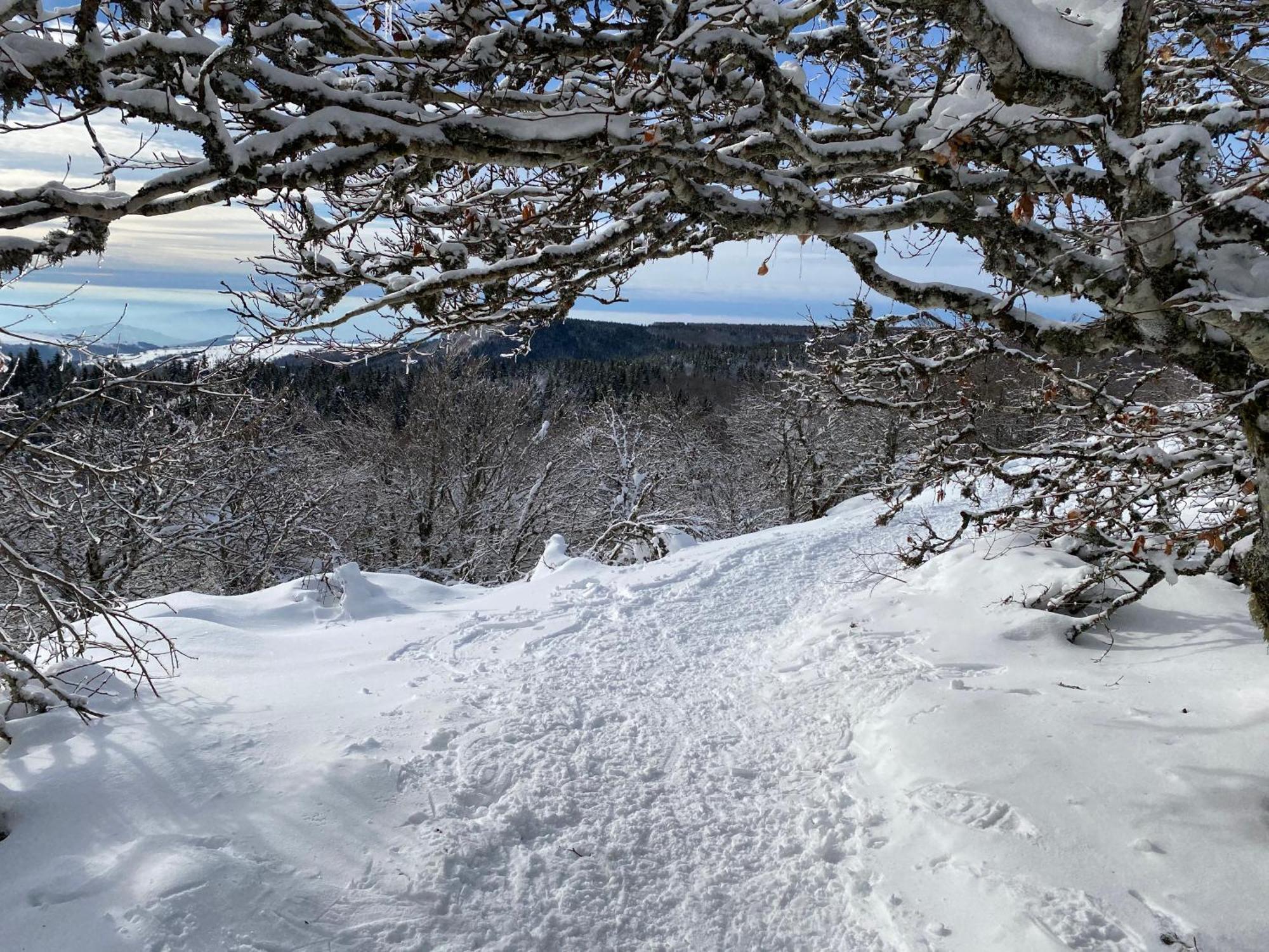 L'Echappee Belle, Vue Panoramique Sur La Campagne Villa Saint-Saturnin-de-Lenne Eksteriør billede